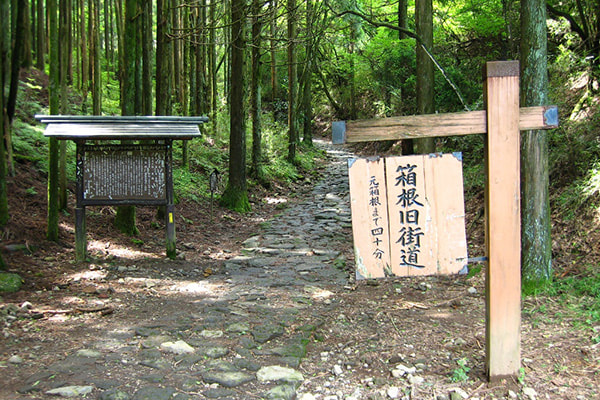 箱根旧街道 石畳