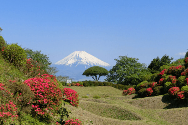 山中城