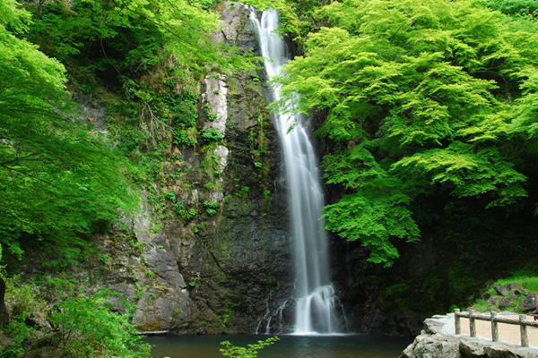 箕面大滝_新緑